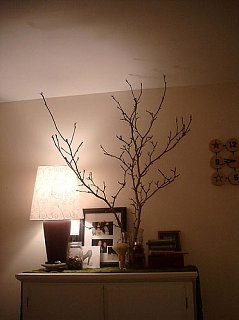 Su Casa: A Soft Touch of Nature