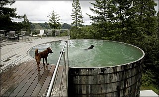 Midday Muse: A Tantalizing Tub