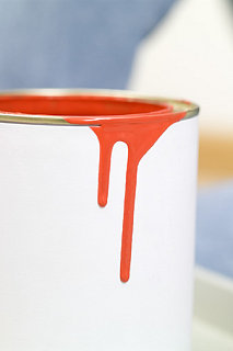 Casa Verde:  Hazardous Chemicals in Paint