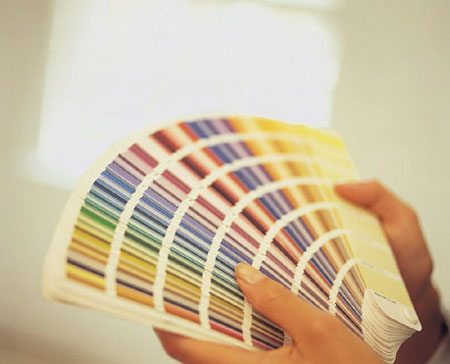 Primer: Choosing the Right Paint Color