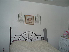 ferm Contest:  QueenLizzy's Wall