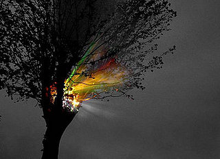 Midday Muse: Light in the Dark