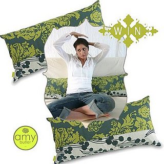 Win Two Amy Butler Throw Pillows!