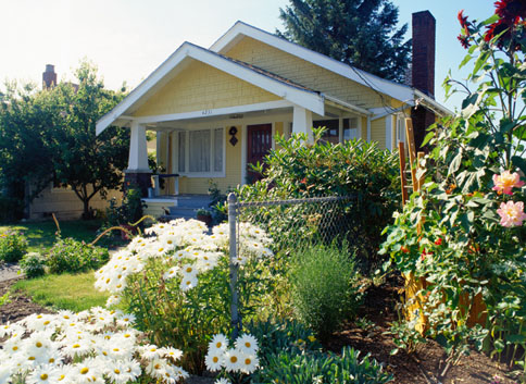 Gift Guide: Patio Plants For a Happy Housewarming