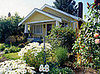 Gift Guide: Patio Plants For a Happy Housewarming