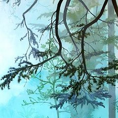 Artist of the Day: Yvette Molina