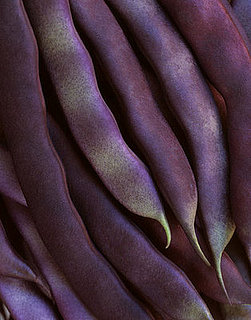 Photographer to Watch:  Ron van Dongen