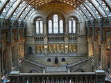 London 11/03/2007-11/18/2007