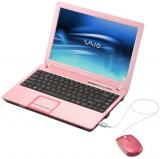 I NEED this pink sony laptop. Probably next spring when I transfer.