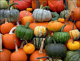 What's your favorite Pumpkin?