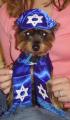 Happy Hanukkah!