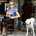 Sugar Bits - Sheryl Crow Still Mending Her Broken Heart