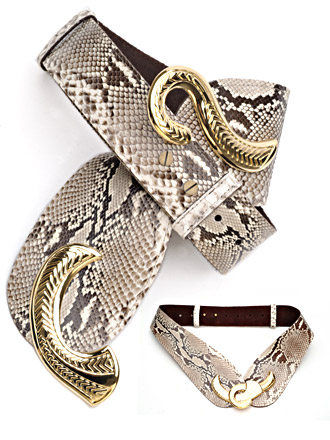 Wild Belts Wild Belts