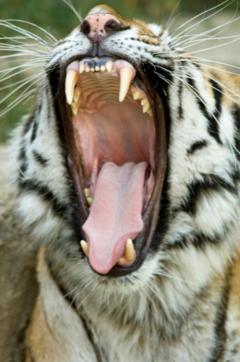 Mood Gallery: Show Us How You're Feeling!