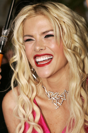 Anna Nicole Smith, The Next Steps