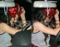 Lindsay Already Causing a Ruckus in Rehab