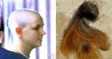 Buy Britney's Hair