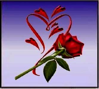 RED ROSES~*~