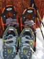 Picking Out Snowshoes