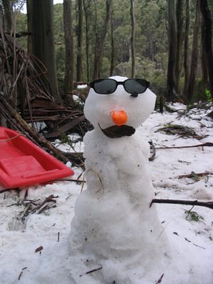 0725-snowman 0725-snowman