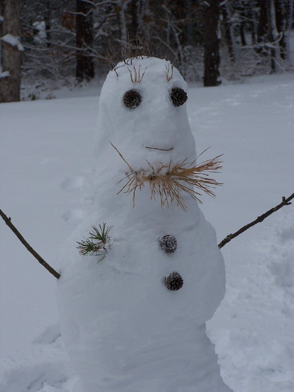 18688484_Snowman 18688484_Snowman