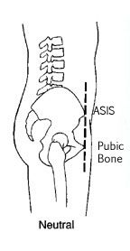 The Skinny On: Neutral Spine