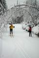 Let's Get Physical:  Cross-Country Skiing