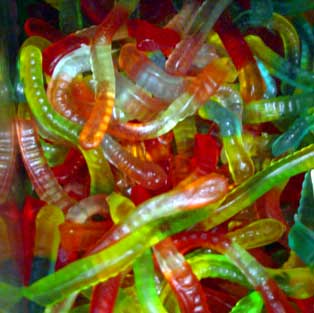Gelatin is Made Out of What???