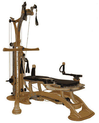 Do You Gyrotonic?