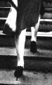 Work It Girl: Step it Up (a Stair Technique)