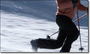 Free the Heel: Telemark Skiing Free the Heel: Telemark Skiing