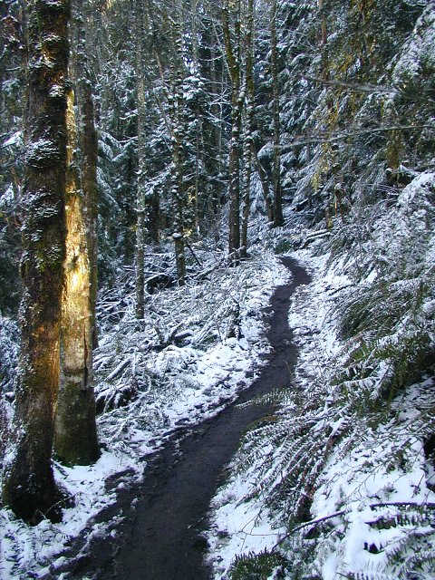 Trail Running