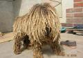 This dog reminds me that I need to mop my floor