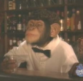 Time For A Monkey Joke!