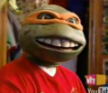 Woman Obsessed With Teenage Mutant Ninja Turtles