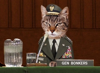 If Cats Ruled the World...