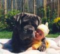 And Now, For Something Ridiculously Cute...