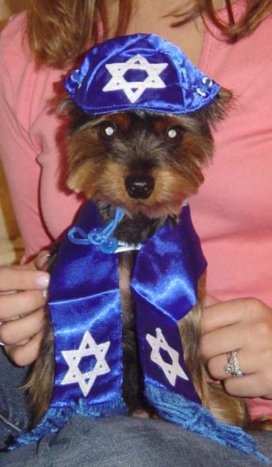 Happy Hanukkah!