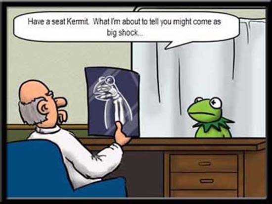 Kermit Gets the News of His Life