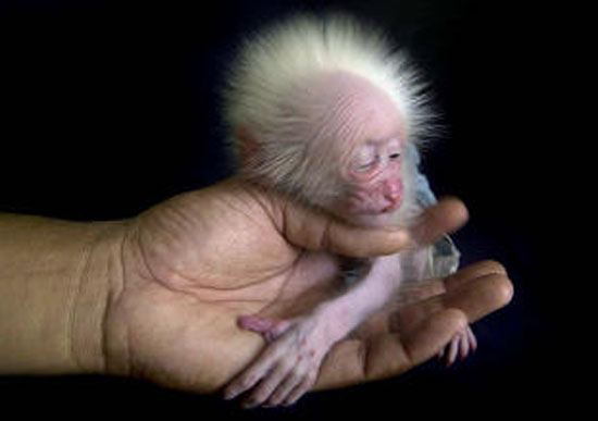Warning: This Little Guy May Be Hazardous to Your Health