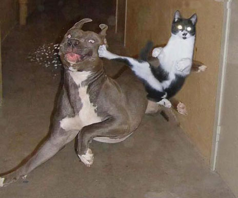 WTF?!