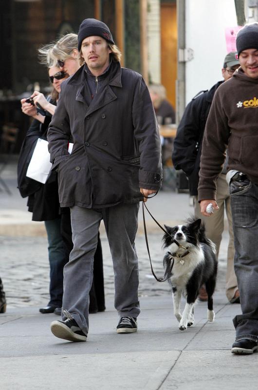 ethan_hawke_061127_01 ethan_hawke_061127_01