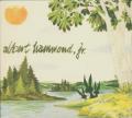 Song of the Day: Albert Hammond Jr., "In Transit"