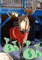 2007 Sundance Film Festival: The Cold, Hard Cash