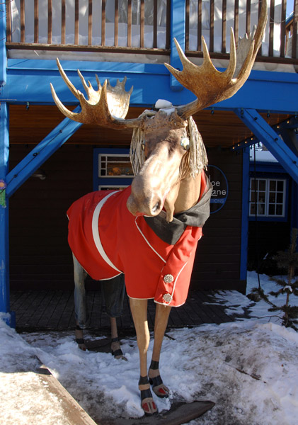 2007 Sundance Film Festival: Dramedies