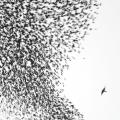 Songs of the Day: New Wilco Tracks Off Sky Blue Sky