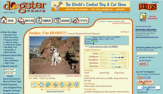 Website Of The Day: Dogster Is The New Friendster