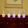 Silly Wi-Fi Rabbit You Can't Live Without