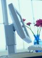 How To Get Rid Of Screen Glare
