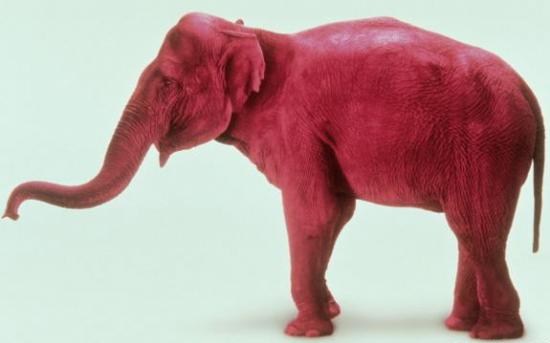 Come Party With Me: Red and Green Themed White Elephant